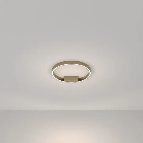 Потолочный светильник Maytoni MOD058CL-L25BSK  фото 3
